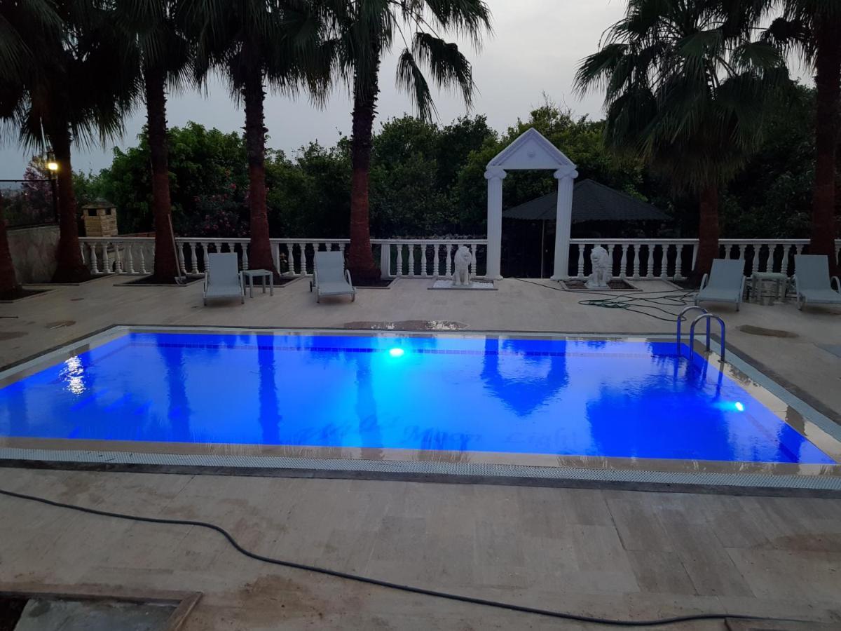 Villa Moonlight Alanya Dış mekan fotoğraf